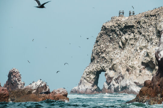 Cliffy coastline in Ballestas Islands, Paracas,Peru