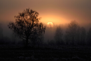 Fototapeta na wymiar Foggy sunset in Scandinavia nature.