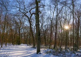 A walk at te recreation area Sechs-Seen-Platte in Duisburg Wedau on a sunny and cold winter day