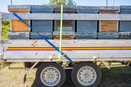 Trailer load with wooden beehives ready to move