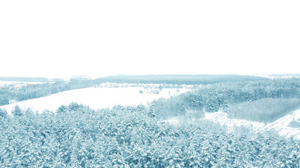 Aerial view from drone on blue snowy forest in winter