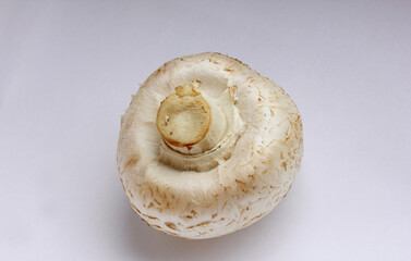 Mushrooms. View from above. Close-up of one fungus. Delicious and healthy mushrooms are grown at home. Fresh raw mushroom. Food. Cooking. Veganism. Isolated