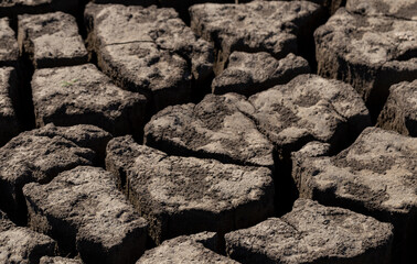 Earth cracked because of drought. The global shortage of water on the planet. Global warming concept. Dry cracks in the land.