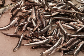 selling fresh fish in the market