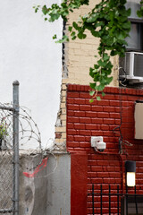 Deep Red Brick with Vine and Barb Wire