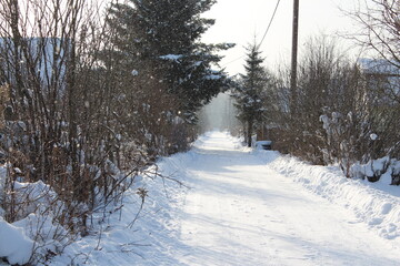 winter in the village