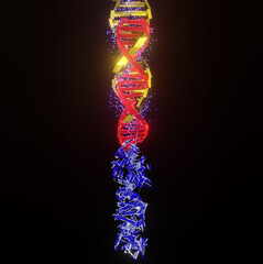 DNA INCROCIATO IN TRASFORMAZIONE 3 COLORI