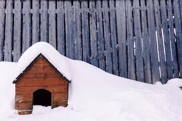 The doghouse is covered with white snow against the background of a wall of wooden boards. Rustic lifestyle