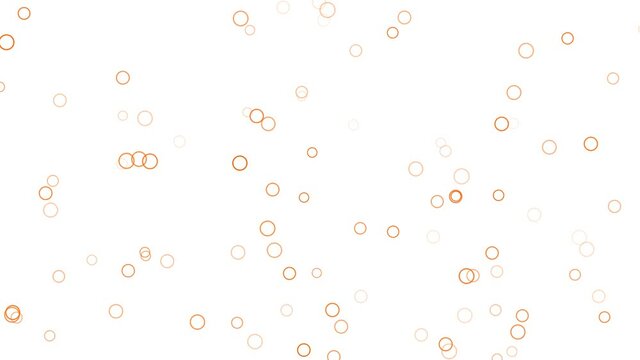 Orange bubbles, rings flying and moving up on white background. Modern simple animated motion elements screensaver in 4K on white background.