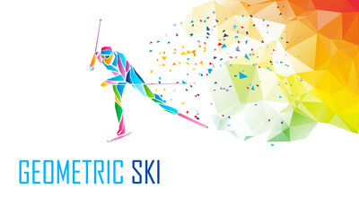 Fototapeta na wymiar Cross country Ski Racer silhouette. Color illustration vector