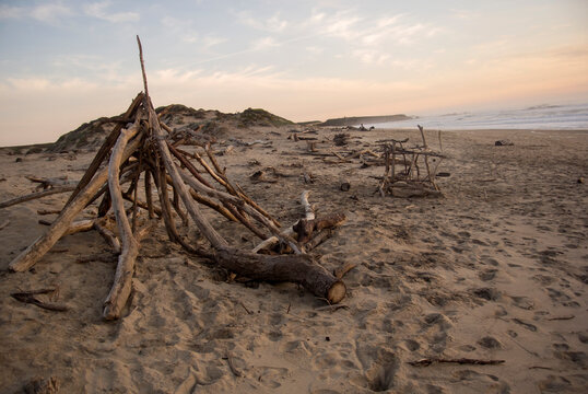 Shelters made of driftwood on a driftwood covered beach.
