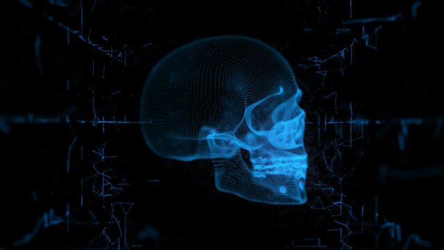X-Ray Digital Scan of a Human Skull. Computer Blueprint Scan Of Human Skull. Biometric Readings of Human Anatomy.