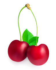 Cherry isolated on white background.  Cherries with leaves and stems close up.