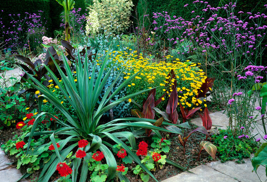 Colourful flower border with interesting flower and plant combinations
