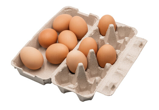 Eggs in egg carton top side view isolated