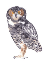 Watercolor halloween animal illustration. Black spooky scary hand painted hand drawn animals High resolution isolated on white Halloween party decor, stickers and planner clip art, graphics.  