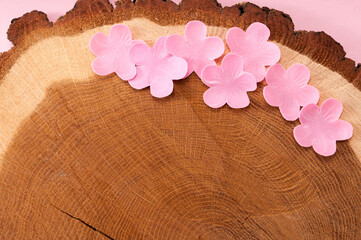 A tree slice from an older tree is used as a background. Several pink flowers are decorated on it.Eine Baumscheibe eines älteren Baumes wird als Hintergrund genutzt. 