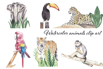 Watercolor jungle safari animals: elephant, toucan, tiger, monkey, parrot, leopard. Hand painted isolated on white illustrations for nursery kids decor, baby shower invitation, birthday greetinf cards