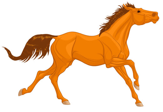 Chestnut thoroughbred horse galloping with its head up. Running stallion laid its ears back. Vector illustration for decoration of equestrian goods.