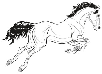 Linear image of a jumping stallion arched its neck. Leaping horse pricked up its ears. Vector monochrome illustration, design element for coloring books and emblem for equestrian shows.