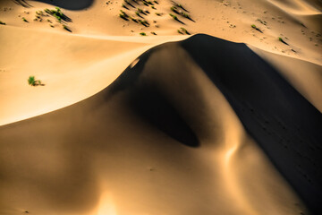 Sand dunes in Gobi desert, Alashan, China