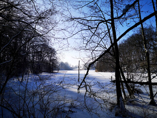 Fototapeta premium Winter 2021
