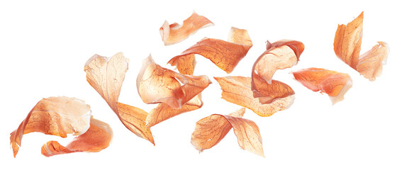 Falling jamon slices, iberian ham isolated on white background