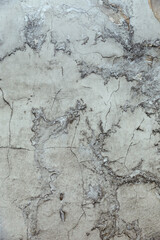 Fototapeta premium texture of old wall with cracks and peeled paint