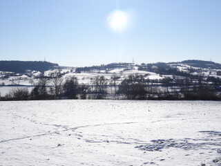 Winter