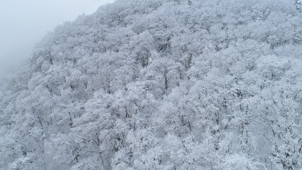 冬・雪山・ドローン・空撮