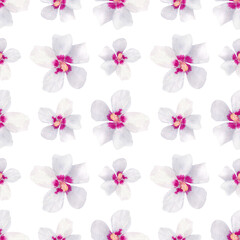 Fototapeta premium Seamless pattern with white and pink flowers. Watercolor pattern with bright summer flowers