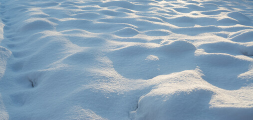 Winter. Season. Snow. Sun. Cold. Ice.