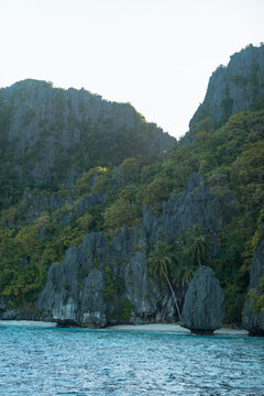 Palm trees on Beach surrounded by rock mountains