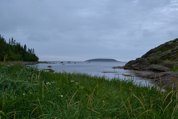 Fototapeta na wymiar Bay on an island in the White Sea