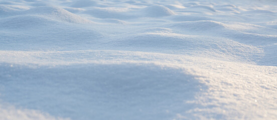 Winter. Season. Snow. Sun. Cold. Ice.