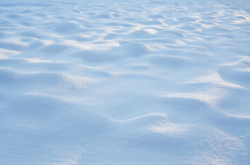 Winter. Season. Snow. Sun. Cold. Ice.