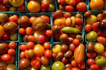 fresh, ripe,  heirloom tomatoes for sale at the Union Square Greenmarket in New York City