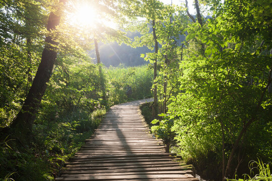 Wooden path across the river at sunny morning