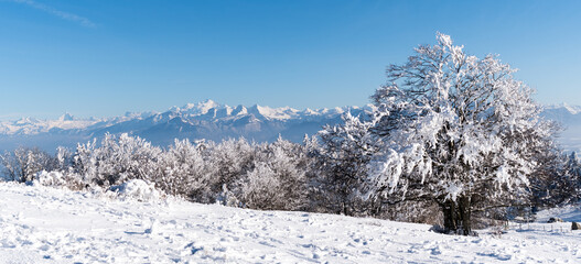 Massif des Alpes vu du Salève en hiver
