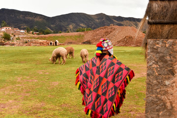 peruvian peasant  in the mountains