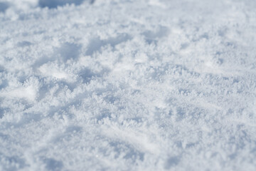 Fototapeta premium Winter. Snow. Cold.