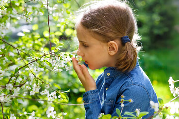 A beautiful girl is enjoying the apple blossom. A little preschool girl in a garden with tree flowers. Copy space