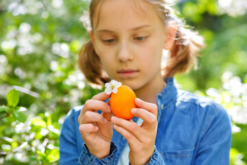 Selective focus. A girl on an Easter egg hunt in a blooming spring garden holds colorful eggs in her hands.