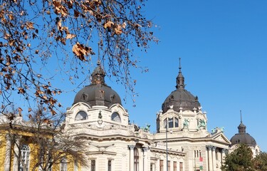 Towers of the Szechenyi Public Bath in Budapest