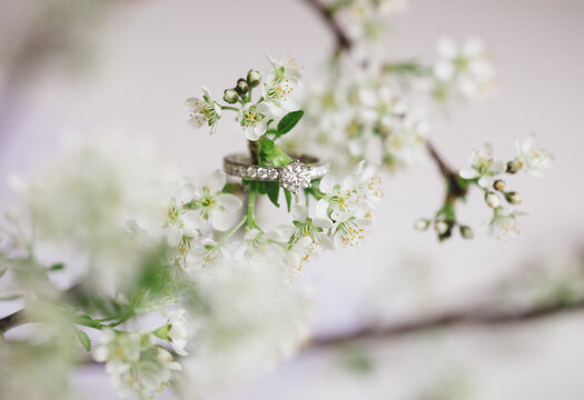 Engagement ring on flower branch