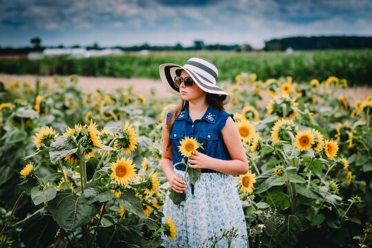 Girl Standing in a Sunflower Field Holding a Sunflower