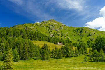 Fototapeta na wymiar Mountain landscape at summer along the road to Mortirolo pass