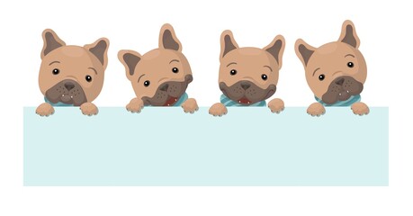 4 cute cartoon french bulldogs and blank banner. Vector isolated on white background. Adotable puppies