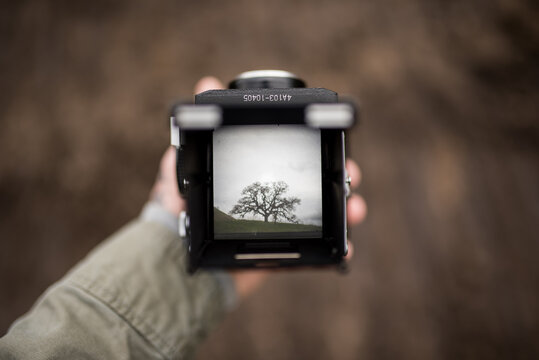 Top down photo looking through view finder of TLR film camera