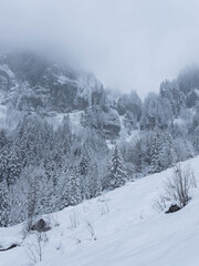 Romantik im Winter mit Schnee